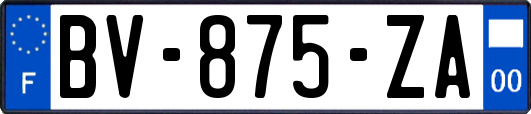 BV-875-ZA