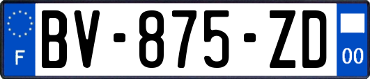 BV-875-ZD