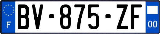 BV-875-ZF