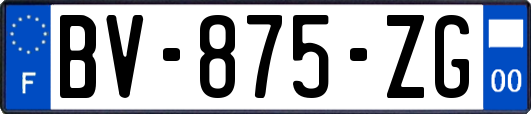 BV-875-ZG