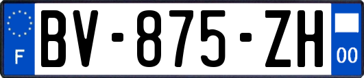 BV-875-ZH