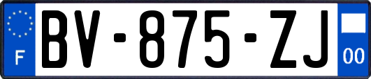 BV-875-ZJ