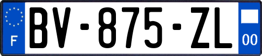 BV-875-ZL