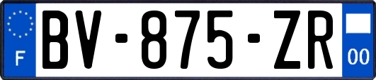 BV-875-ZR