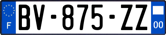 BV-875-ZZ