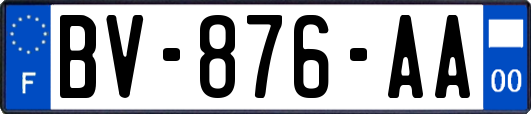 BV-876-AA