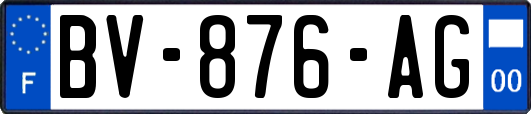 BV-876-AG