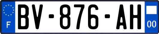 BV-876-AH