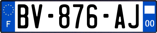 BV-876-AJ