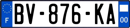 BV-876-KA