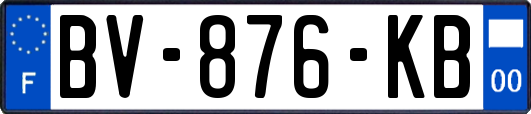 BV-876-KB