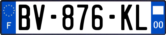 BV-876-KL