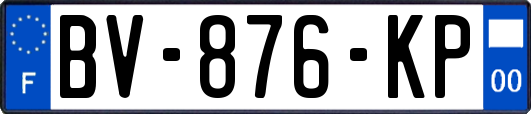 BV-876-KP