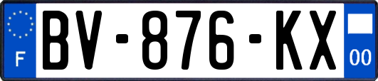 BV-876-KX