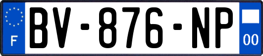 BV-876-NP