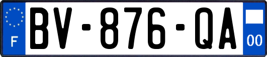 BV-876-QA