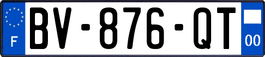 BV-876-QT