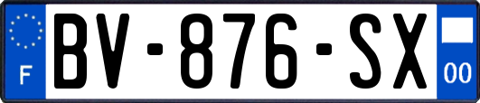 BV-876-SX