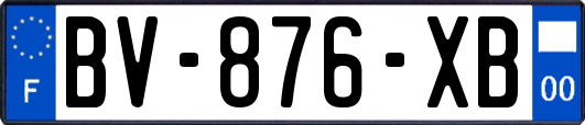 BV-876-XB