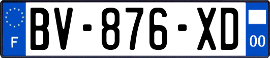 BV-876-XD