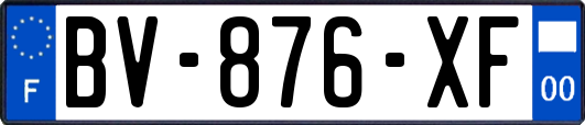 BV-876-XF