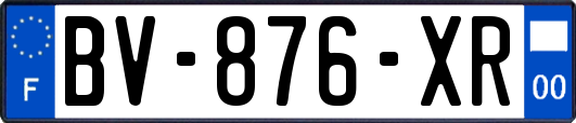 BV-876-XR