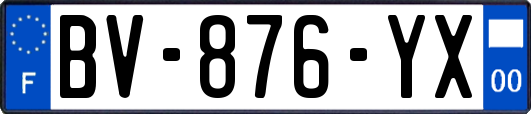 BV-876-YX