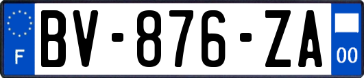 BV-876-ZA