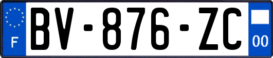 BV-876-ZC