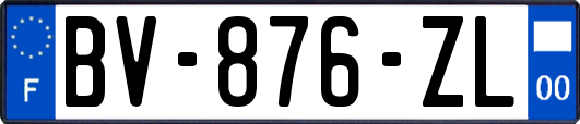 BV-876-ZL