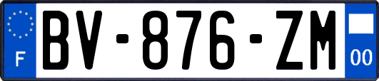 BV-876-ZM