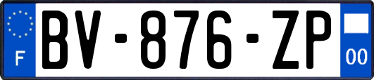 BV-876-ZP