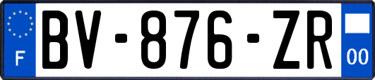 BV-876-ZR