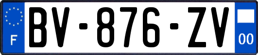 BV-876-ZV