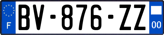 BV-876-ZZ