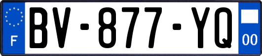 BV-877-YQ