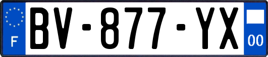 BV-877-YX