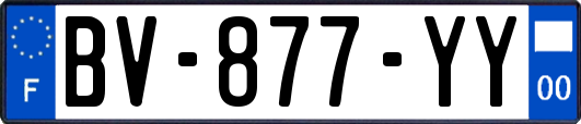 BV-877-YY