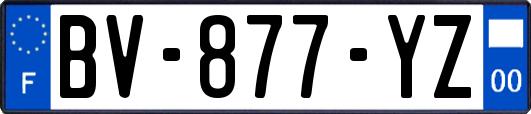 BV-877-YZ