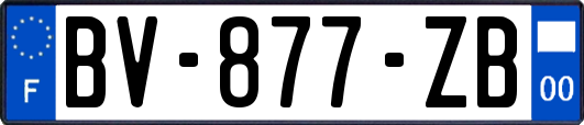 BV-877-ZB