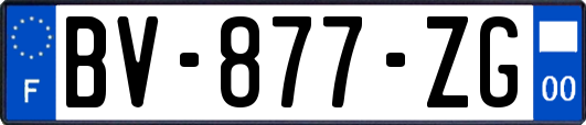 BV-877-ZG