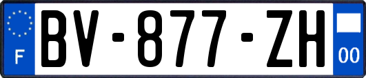 BV-877-ZH