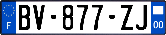 BV-877-ZJ