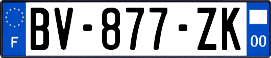 BV-877-ZK