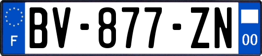 BV-877-ZN