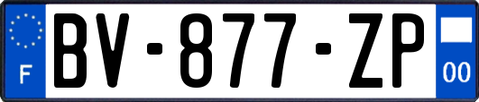 BV-877-ZP