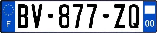 BV-877-ZQ