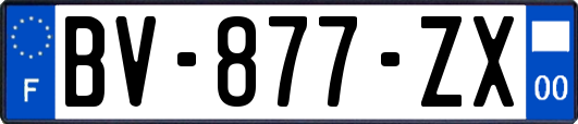 BV-877-ZX