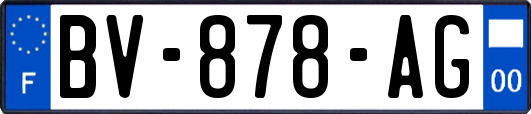 BV-878-AG