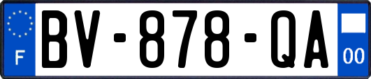 BV-878-QA